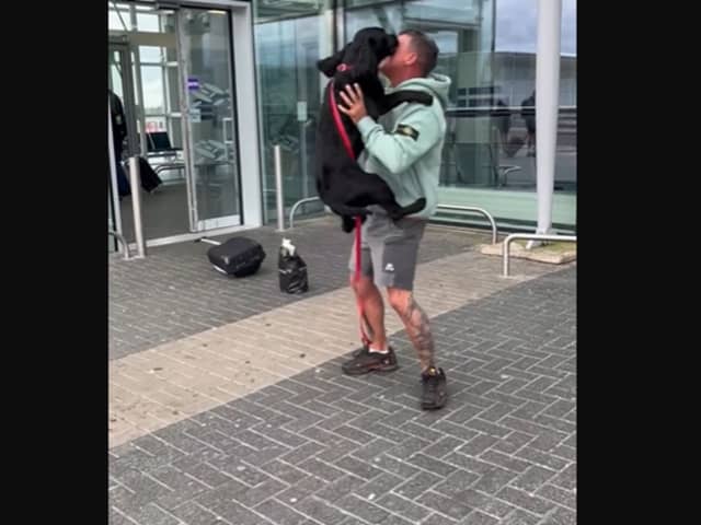 Joyous puppy is filled with excitement as he spots his human dad after being apart for a few days.