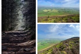 A beautiful walk on Longridge Fell