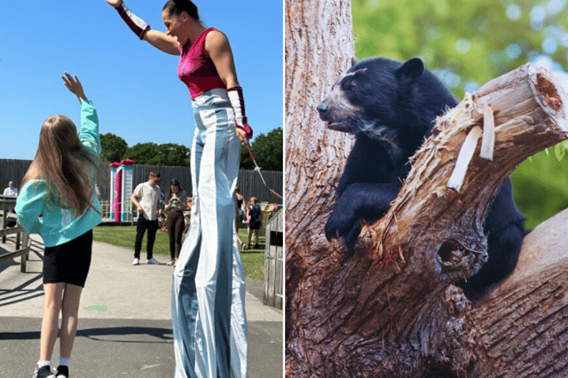 The Seaside Carnival and Bear Country at Knowsley Safari. Image: Knowsley Safari