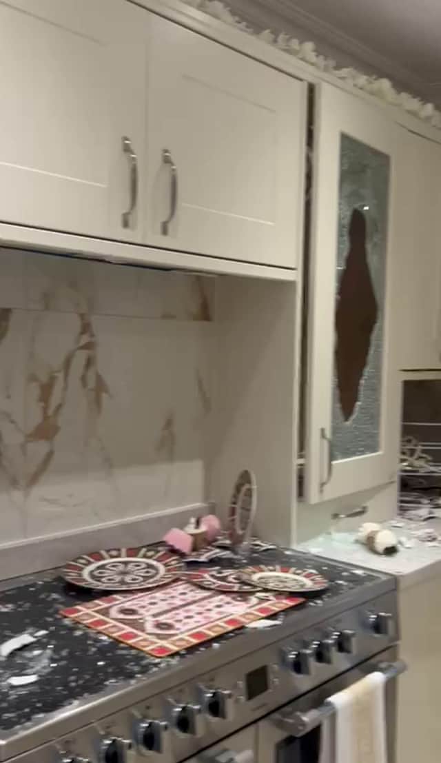 Nikia says she only survived by fleeing upstairs with her dogs (Credit: SWNS/Nikia Marshall)