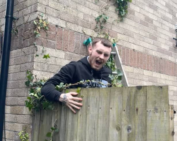 Amusing moment Tyla Shellard, 21, falls from an ivy branch whilst helping to clear a friends garden in Cardiff ready for summer, May 21 2024. 