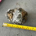 The rock Paul found and believes is a from a meteor shower