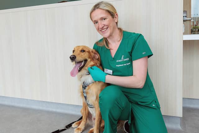 A vet and a furry friend at Robert Jones Vets Blackpool 