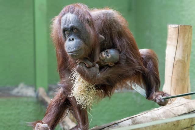 Summer's baby is currently unnamed, any suggestions? Credit: Alison Allen