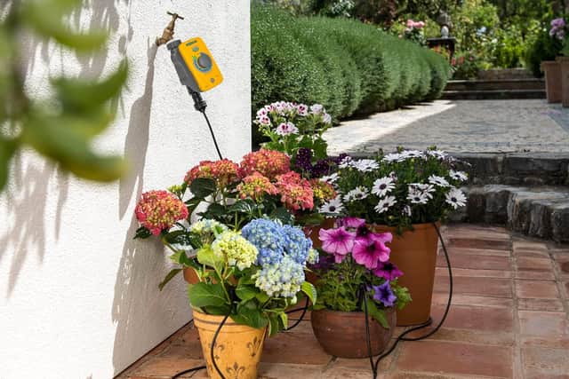 The Hozelok automatic drip watering kit