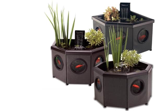 The Blagdon Affinity freestanding pond