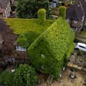 The extraordinary virginia creeper covered house in Bromley, South London which has become a local landmark with tourists stopping to take photos outside it. 
