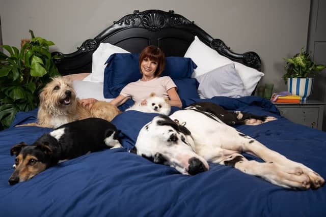 21% of people will let pets in their bed according to Ecover’s study