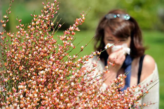 Hay fever symptoms.