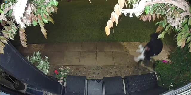 Padstow is snatched from Vanessa and Liz's front garden.
