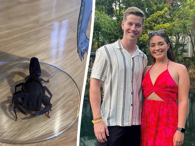 the scorpion that John Gray and Jodie Daly bought back from Mexico.