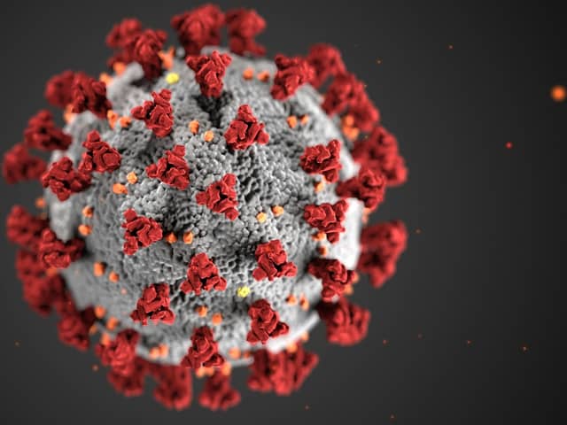 FLuQE is a new Covid variant that has been driving new cases. (Photo: Pexels, CDC)