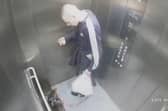 Bulldog Biscuit visibly cowers on the CCTV footage as owner Cameron Brunning subjects her to a series of assaults. 