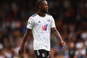 Josh Onomah (Photo by Jacques Feeney/Getty Images)