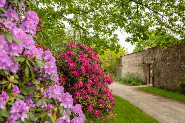 The Walled Garden at Netherby Hall
