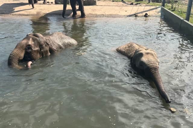 Noorjahan and Esha, who are due to give birth later in the year, have been making full use of their 225m² pool to stay active by swimming.