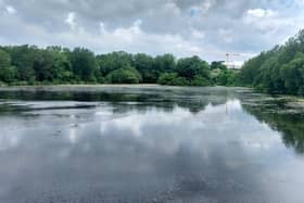 Stanley Park Lake