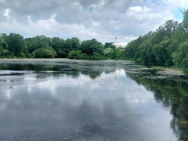 Stanley Park Lake
