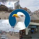 The worst places to get attacked by a seagull in Lancashire