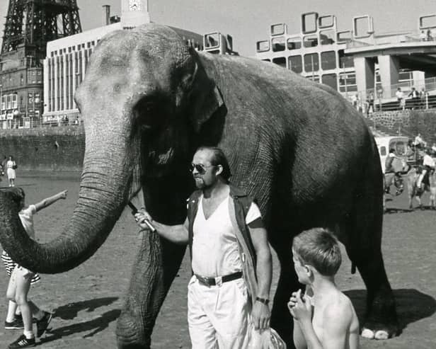 Layla a Tower Circus Elephant with her trainer on Blackpool Beach in 1984