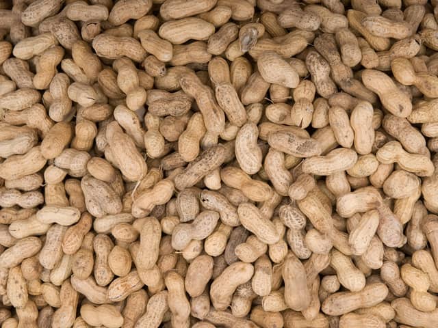 Chocolate company Prestat has recall some of its items due to an undeclared peanut allergen (Photo by AFP via Getty Images)