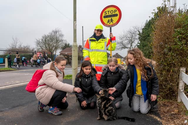 Klara Remmington with (from left) Grace Pratt, 10, Elena Michalczuk, 11, Amy Brooks, 11, Cordelia Donald, 9, and Bandit the cat.