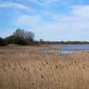 Marton Mere Nature Reserve in Blackpool