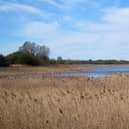 Marton Mere Nature Reserve in Blackpool