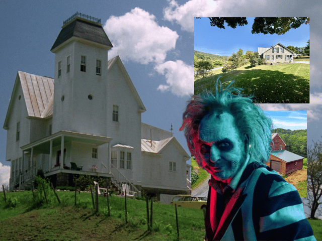 How much is the Maitland/Deetz house worth in the current housing market - despite the unwanted squatter pictured here?