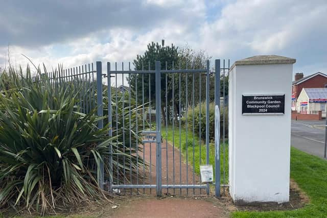 The group also established the ‘Peace Garden’ - an area in the Talbot and Brunswick (TAB) green space where people can enjoy being outside in nature