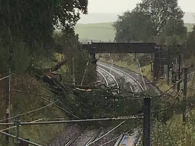 Passengers are being advised not to travel north of Preston due to a tree being caught in the overhead electric wires between Motherwell and Lockerbie, which is blocking all lines.