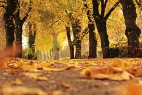 Sunshine and dry spells have been forecast on the Fylde coast