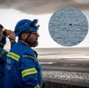 It took some high-powered binoculars and a long-lensed camera to establish the objects were not people but bundles of balloons in the sea