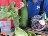 Advice regarding home grown produce is being shared with allotment holders and residents in Thornton