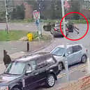 Police officer clings to car roof as suspect speeds off.