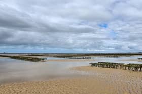 Morecambe Bay
