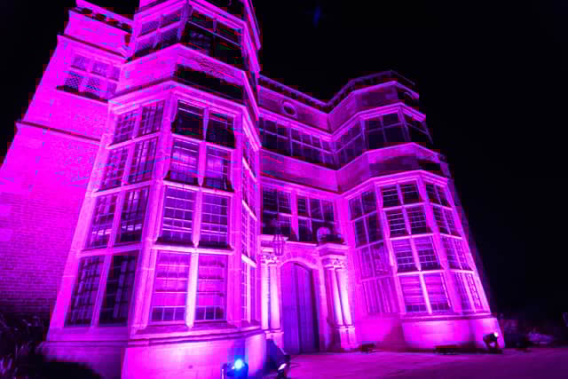 A scene fromAstley Illuminated 2023. Photo: Kelvin Stuttard
