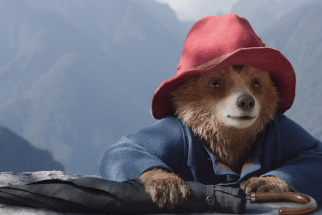 Paddington returns to cinemas this week, trading London for the Amazon Rainforest in Paddington in Peru.