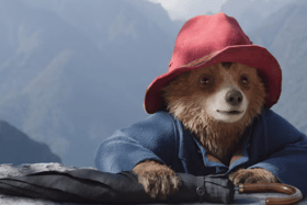 Paddington returns to cinemas this week, trading London for the Amazon Rainforest in Paddington in Peru.
