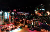 Go to the The Palace Nightclub