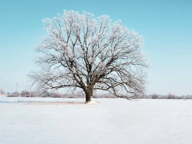 Lancashire can expect a chilly week ahead