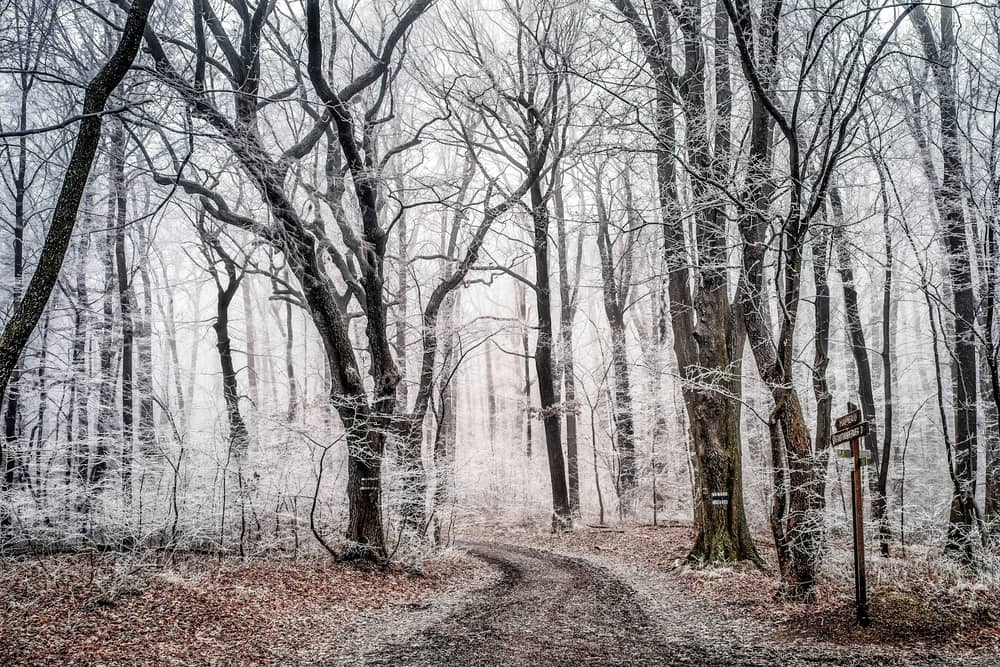 An amber cold weather health alert has been issued by the UK Health Security Agency