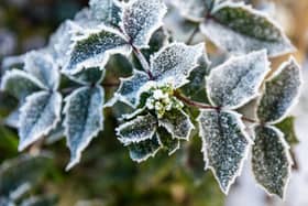 The start of this week will see a temporary return to colder conditions