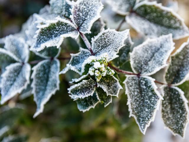 The start of this week will see a temporary return to colder conditions