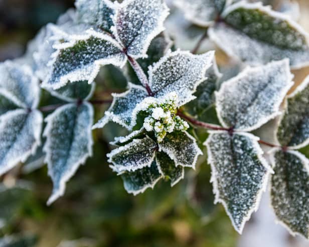 The start of this week will see a temporary return to colder conditions