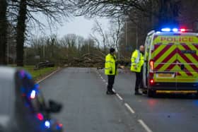 The man was driving his Citroen van on the A59 at Longton when the tree fell onto his vehicle 