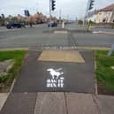 Dog fouling is one of the main gripes 