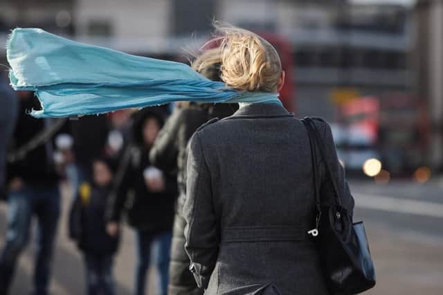 The high winds saw trees fall yesterday and overnight, with concerns that it could cause travel disruption