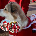 Shots! TV meet the festive runners at Blackpool Santa Dash, in a Christmas Special of Unconventional Brits