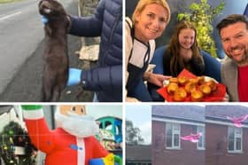 These are just some of the weird, wacky and wonderful stories reported on over the years. 